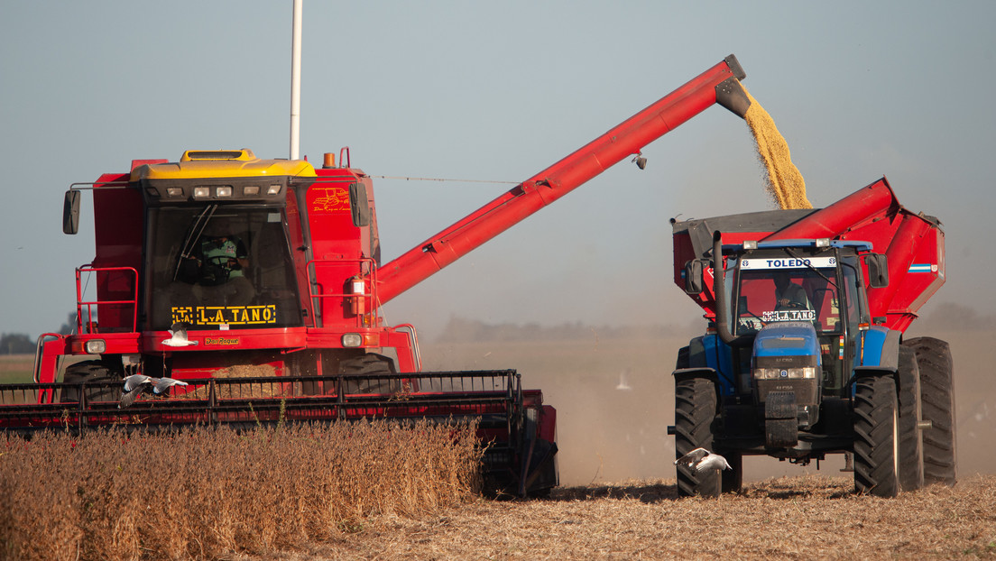 'Dólar agro' y ahorro en divisas más caro: las medidas de Argentina para fortalecer sus reservas