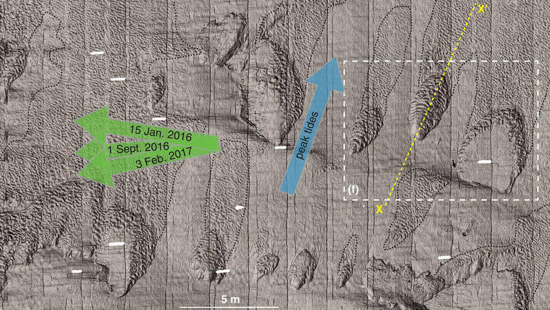 Mapean con detalle asombroso el fondo marino en aguas profundas frente a la costa de EE.UU.