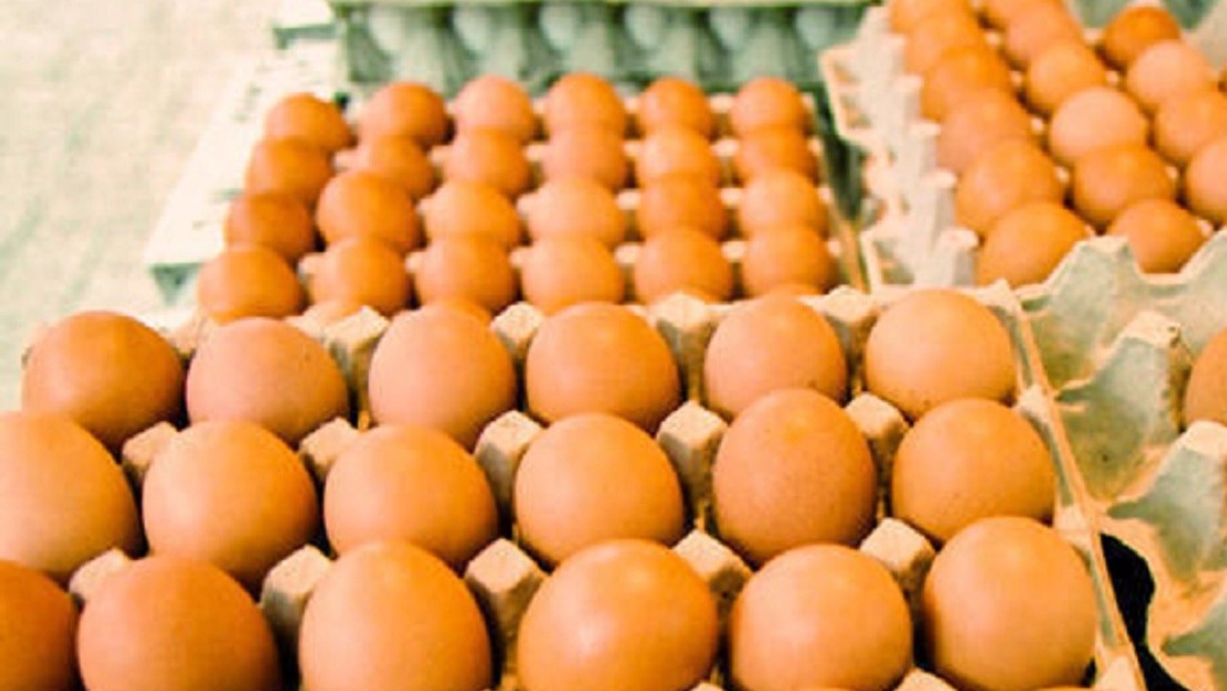 La ciudad italiana de Palermo pide a sus habitantes que no coman huevos ni carne