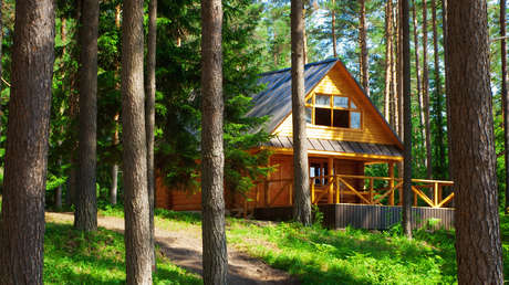 Determinan que vivir cerca de parques y espacios verdes rejuvenece a las personas en 2,5 años