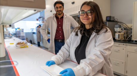 Desarrollan un empaque de alimentos que advierte sobre la presencia de patógenos antes de abrirlo