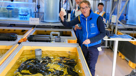 China prohíbe importar alimentos de 10 regiones de Japón tras su decisión de verter al mar agua radiactiva