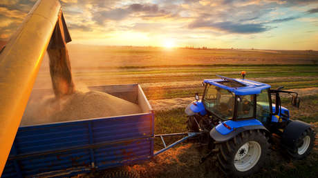 Kremlin: De facto, el acuerdo de granos se rescindió