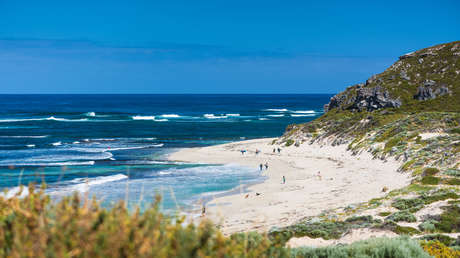 Un surfista atacado por un tiburón logra escapar y nadar hacia un lugar seguro