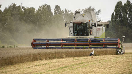 Los cinco puntos de la dignidad
