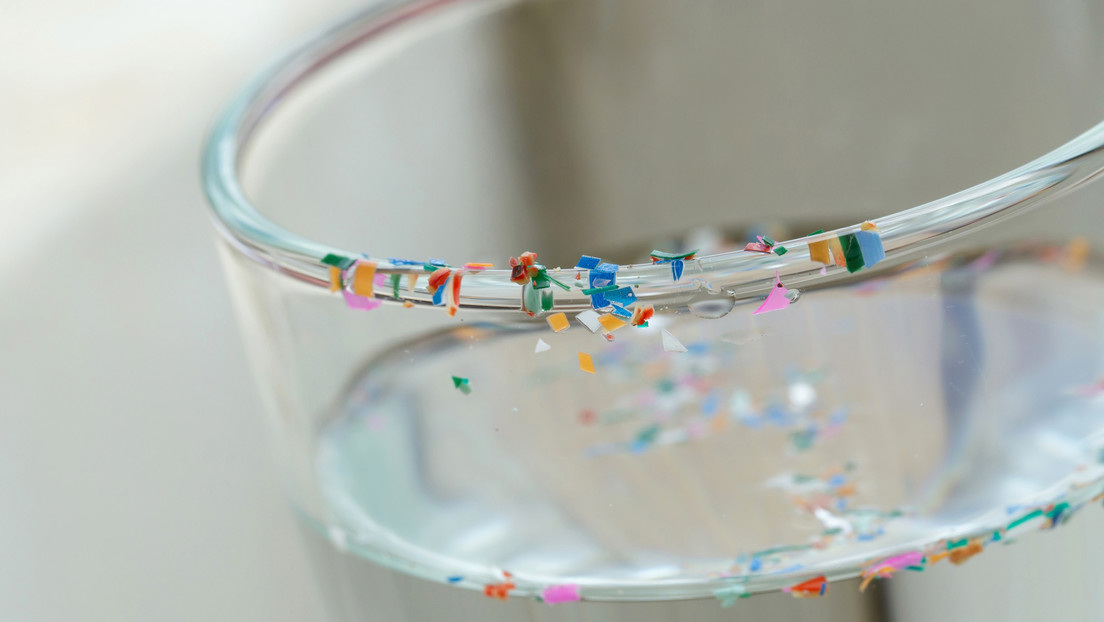 Descubren por primera vez microplásticos en tejidos cardíacos