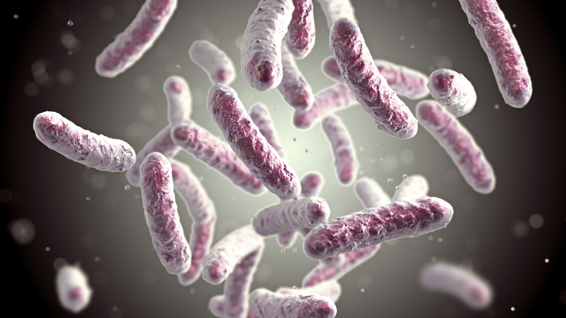 Polonia investiga el brote de una enfermedad mortal cerca de la frontera con Ucrania