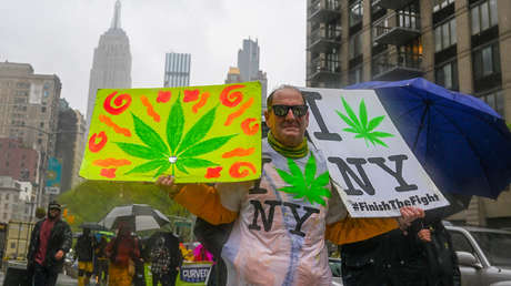 Revelan cuál es la ciudad donde más cannabis se consume del mundo