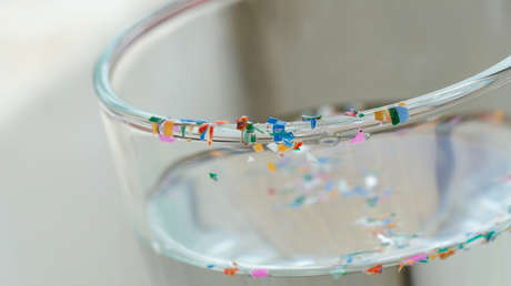 Descubren por primera vez microplásticos en tejidos cardíacos