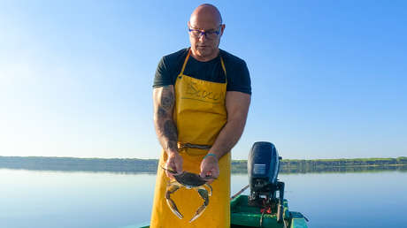 Italia combate una invasión de cangrejos azules que devasta sus costas con daños millonarios