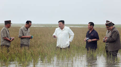 Kim Jong-un arremete contra el primer ministro norcoreano y su Gabinete