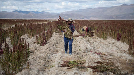Lanzan un plan para enfrentar el impacto de El Niño en América Latina