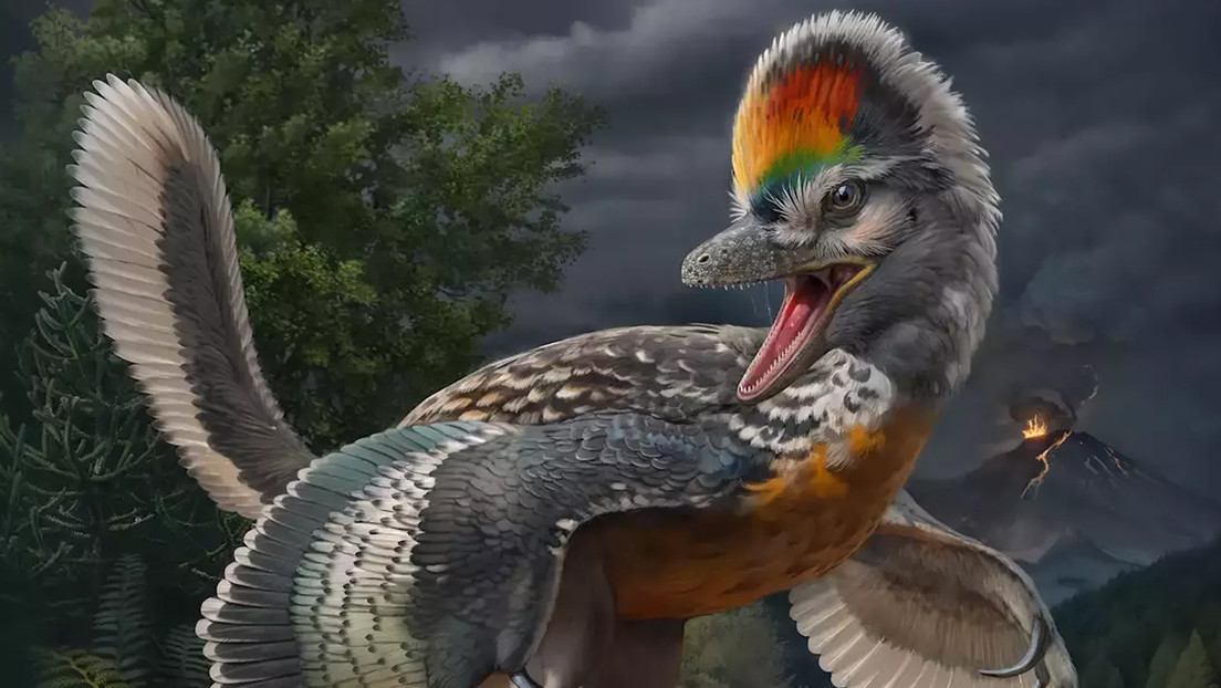 Fujianvenator prodigiosus