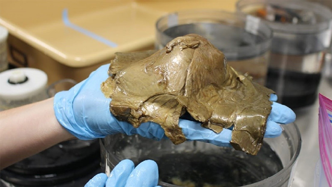 Hacen el primer análisis al extraño 'huevo de oro' hallado en el fondo del océano