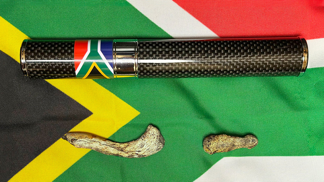 "Horroriza que hayan dado permiso": Virgin Galactic lleva huesos humanos prehistóricos al espacio