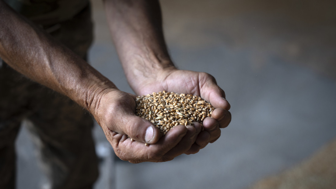 Kiev presenta demandas ante la OMC contra tres países europeos por su prohibición de importar productos ucranianos