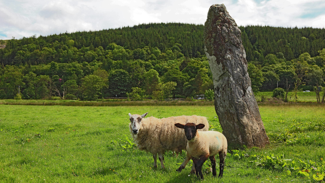 Recrean el rostro de una mujer de la Edad del Bronce hallada en una tumba de 4.200 años de antigüedad