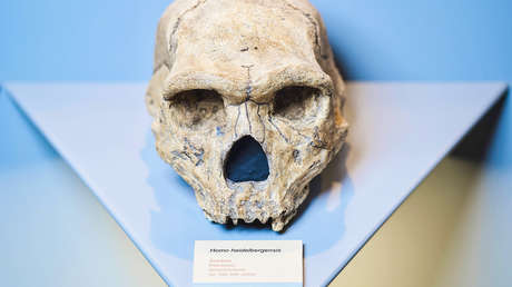 Estudio: Los humanos modernos casi desaparecieron por un colapso demográfico