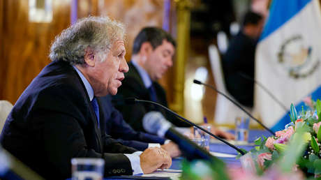 OEA: Si Arévalo no asume como presidente de Guatemala será un fracaso para la democracia