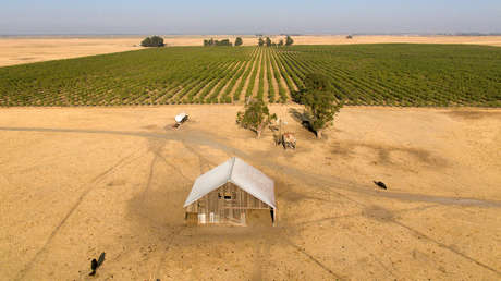 ¿Cómo sería la nueva cuidad que planean construir multimillonarios de Silicon Valley en EE.UU.?