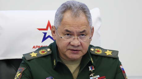 Shoigú, sobre la destitución del ministro de Defensa de Ucrania: "Allí todo depende de lo que les diga Washington"