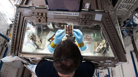 Imprimen en 3D un cartílago de rodilla en la EEI por primera vez