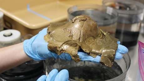 Hacen el primer análisis al extraño 'huevo de oro' hallado en el fondo del océano