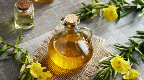 'Oro líquido': se disparan los robos de aceite de oliva en España por su escasez y el precio elevado