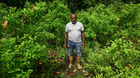 El cultivo de coca en Colombia bate récord en 2022 mientras Petro apuntala otra política antidrogas