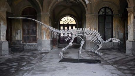 Se subastará el esqueleto del dinosaurio herbívoro Barry