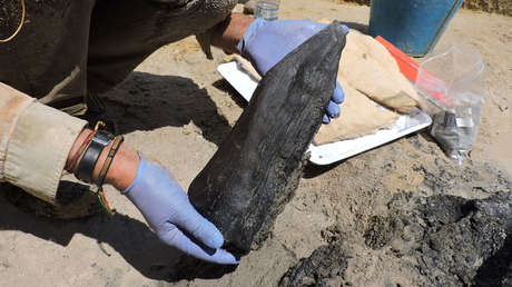 Descubren lo que serían los restos más antiguos que se conozcan de una construcción de madera