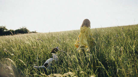 Encuentran a bebé extraviada en un bosque de EE.UU. mientras dormía sobre su perro