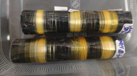 Hilan con gusanos de seda transgénicos una fibra seis veces más resistente que el Kevlar