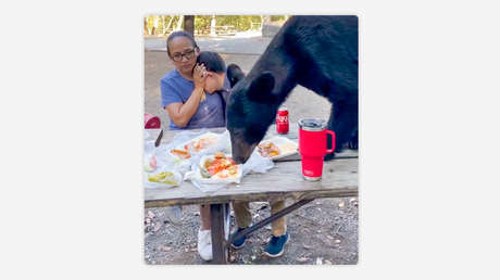 VIDEO: Un oso arrasa con la comida de una familia que disfrutaba en un parque en México