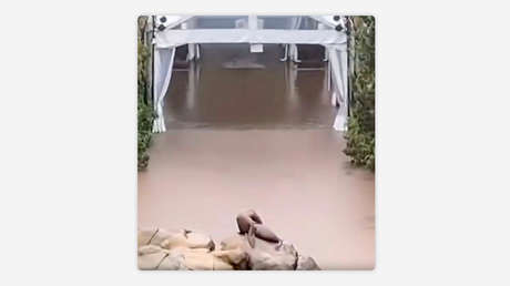 VIDEO: Una leona marina escapa de su recinto en un zoo de Nueva York en medio de las inundaciones