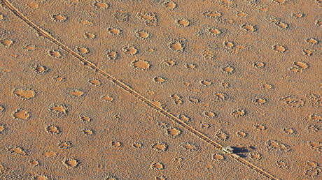 Descubren con IA cientos de lugares con 'anillos de hadas' en todo el mundo