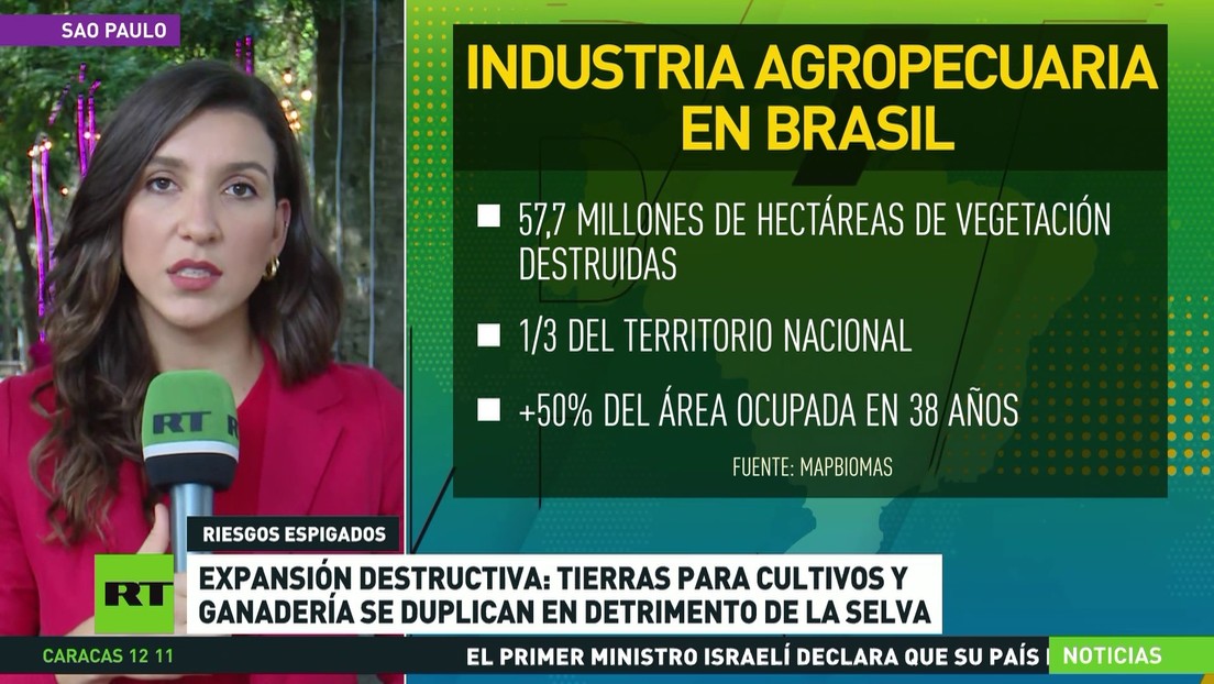Tierras para cultivos y ganadería se duplican en la Amazonía brasileña en detrimento de la selva