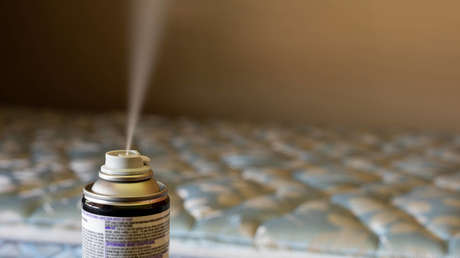 Una plaga de chinches provoca el cierre de 7 escuelas en Francia