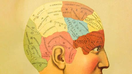 Crean el mapa más detallado del cerebro humano