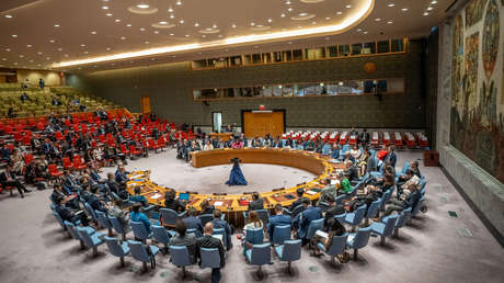 La ONU rechaza ambas enmiendas rusas a la resolución brasileña sobre el conflicto en Gaza