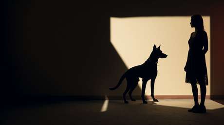 "Hay mucho miedo": Conmoción en España tras mortal ataque de perros pastores a una enfermera