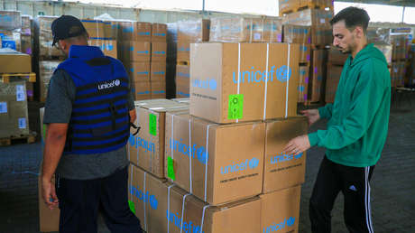 "El orden civil empieza a quebrarse": miles de personas saquean almacenes de la ONU en Gaza