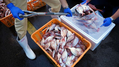 El G7 insta a China a levantar su veto a los productos marinos de Japón