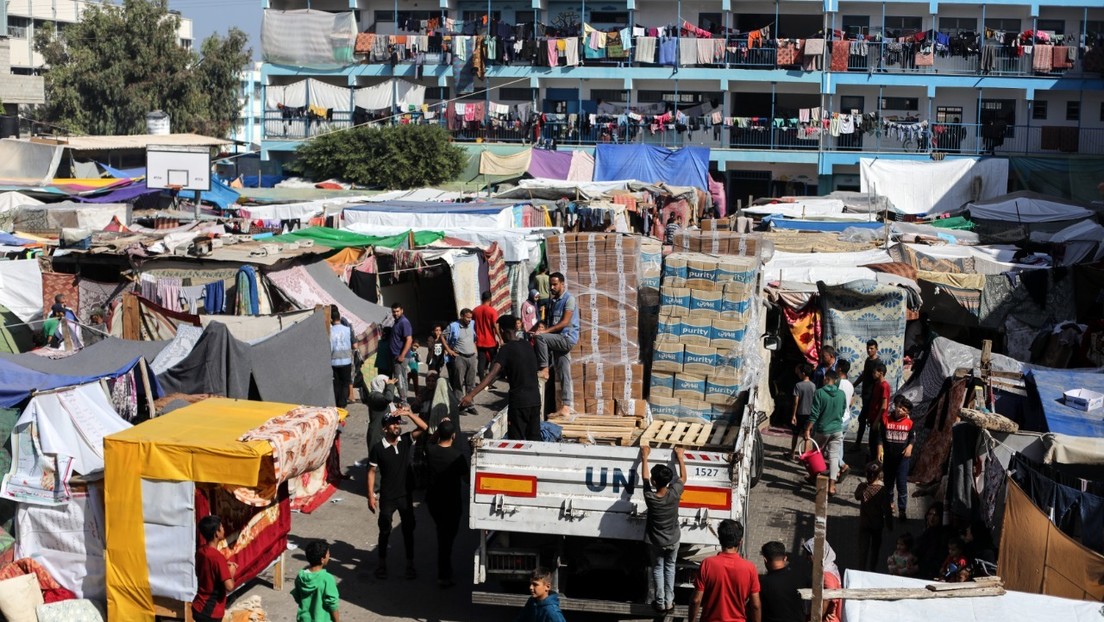 Refugios hacinados, falta de comida y 89 miembros asesinados en Gaza: trágicos datos de una agencia de la ONU