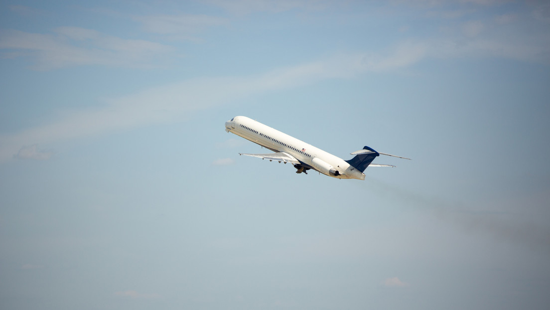 Un avión de carga se regresa a EE.UU. al soltarse de su jaula un caballo en pleno vuelo