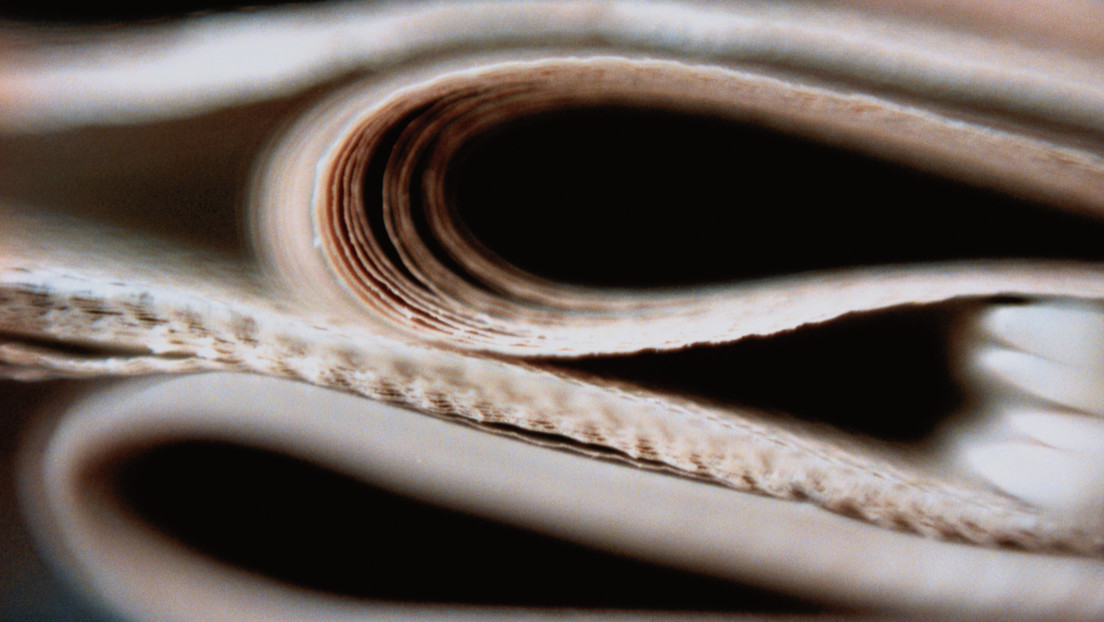 Ministro israelí pide sancionar al periódico Haaretz por "sabotear" al Estado "en tiempos de guerra"