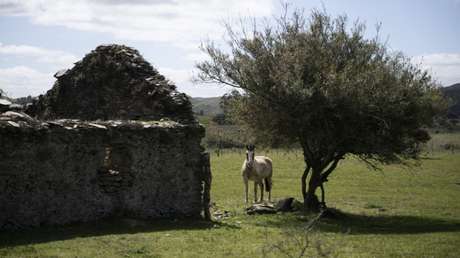 Uruguay recibe un crédito del Banco Mundial por cumplimiento de metas climáticas: por qué es histórico