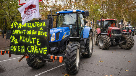 Estiércol y neumáticos quemados: granjeros protestan por el impuesto sobre el diésel en Francia (VIDEOS)