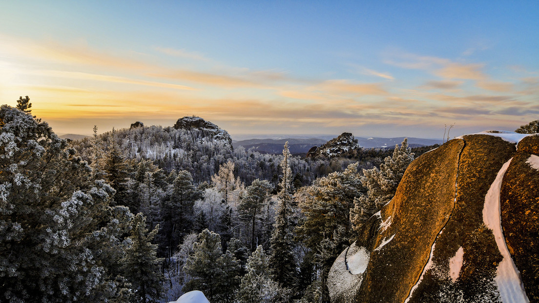 Multimillonario ruso promueve restaurar el antiguo ecosistema de Siberia con el resurgimiento del mamut lanudo