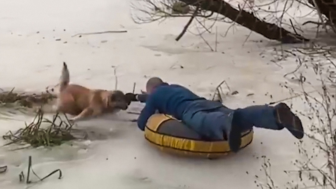 VIDEO: Rescatan a un perro atrapado bajo el hielo con la ayuda de la boya de un niño